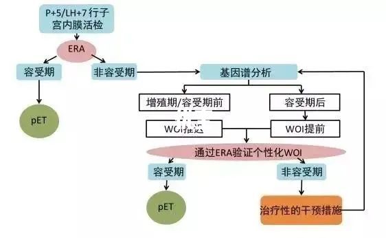 种植窗检测流程