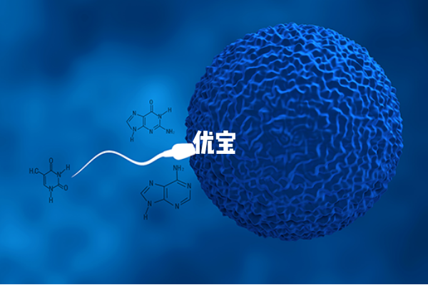 精子质量较好可以选择第一代试管婴儿技术