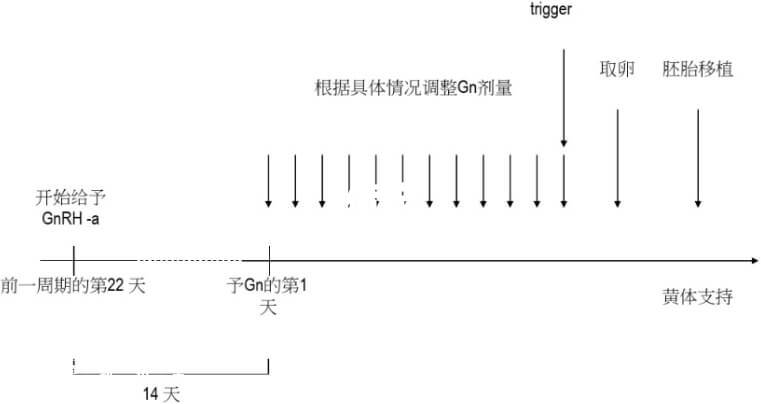 长方案流程图