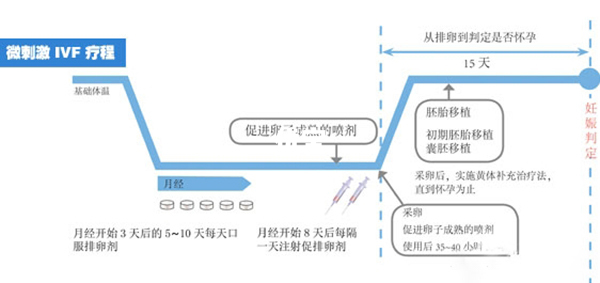 微刺激方案促排流程图