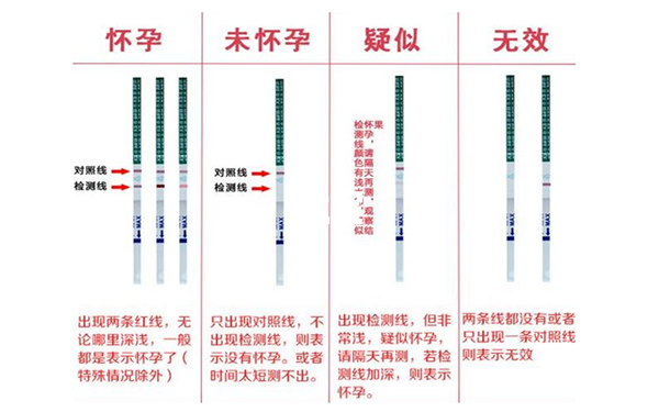 验孕纸c区和t区图解