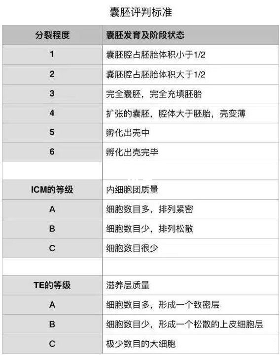 胚胎等级划分标准