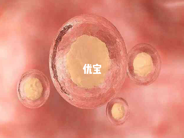 肛门塞麻药后取卵疼痛感更少