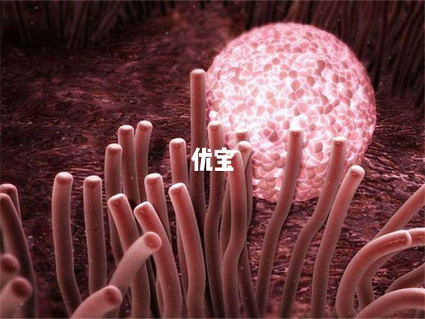 陝西西安四胞胎是通過做試管出生的