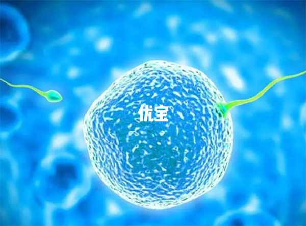zp3基因突變會導致女性卵子異常