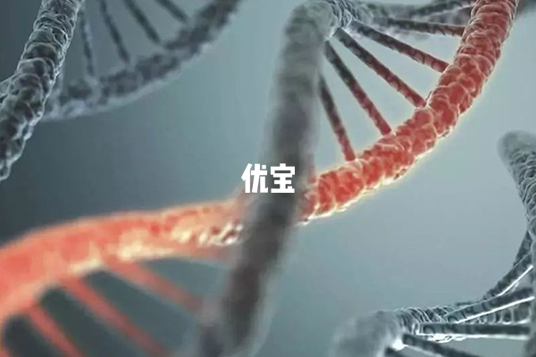 ZP3基因突變與女性不孕關係大