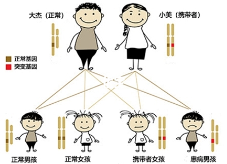 血友病遗传图