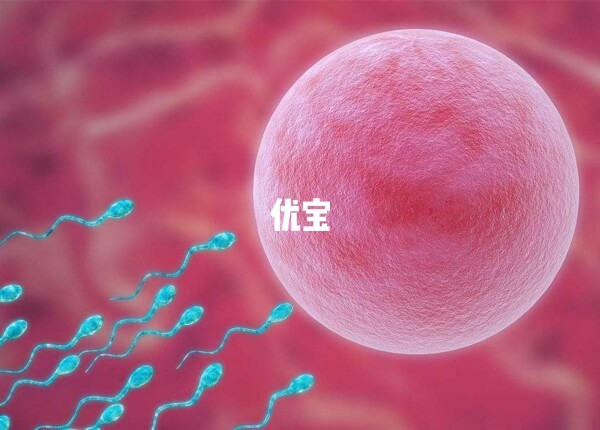 卵母細胞成熟障礙會遺傳