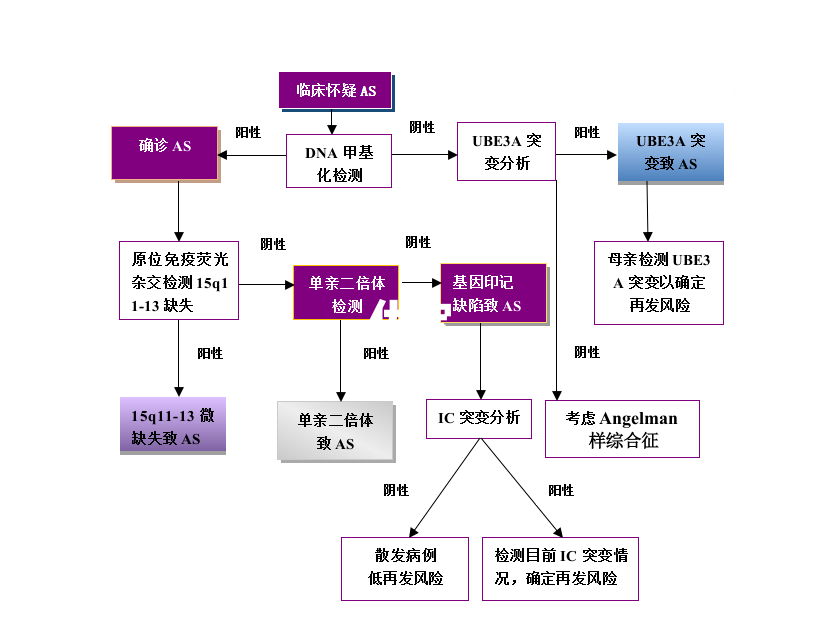 Angelman综合征遗传学诊断流程图