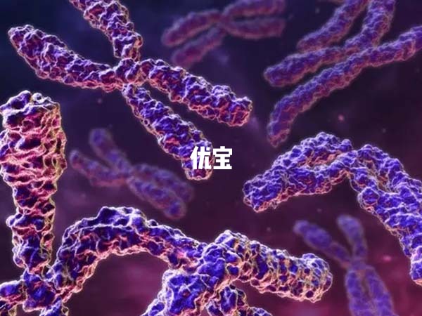 SY1192缺失做三代试管最好