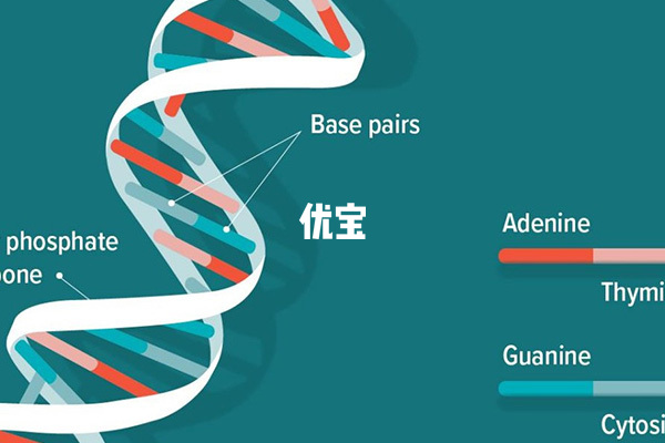 Y染色体sy1192缺失可以做三代试管婴儿