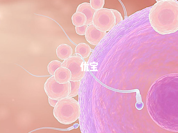 供卵试管怀孕后的保胎方法总结