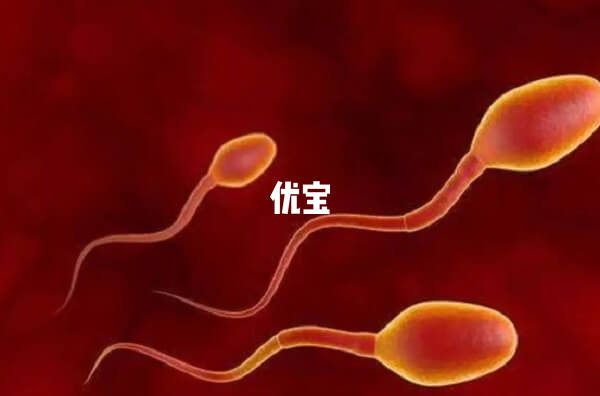 二代試管精子挑選過程分享