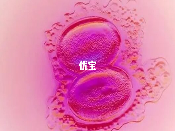 2pn胚胎养囊对实验室的要求比较高