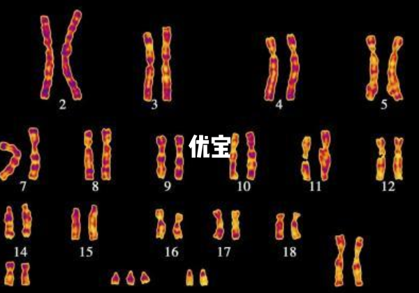 15号三体需要做试管