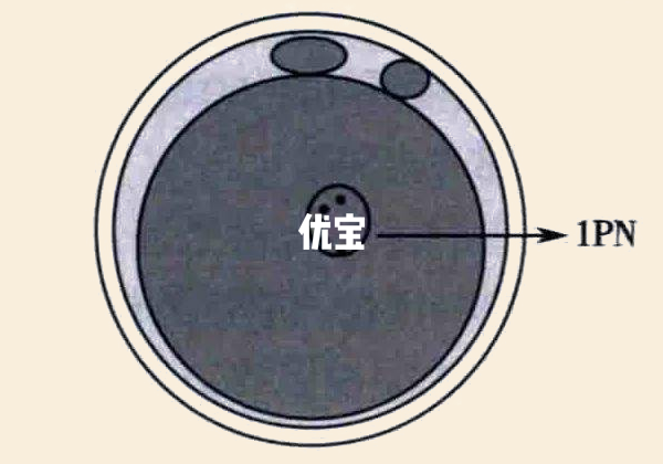 2pn培养不成功的原因分析