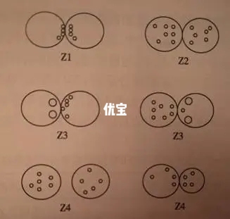 原核期胚胎Scott评分标准