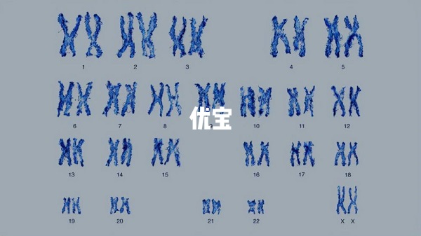 精卵异常都会引起染色体异常