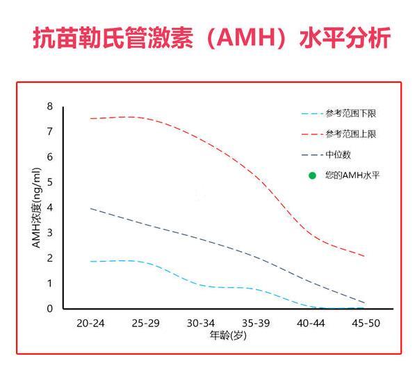 amh年龄对照表