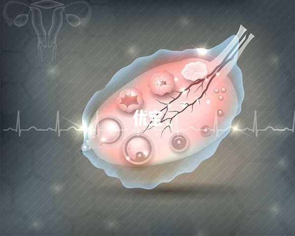 卵泡发育不良会影响怀孕率