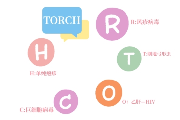 torch优生五项检查