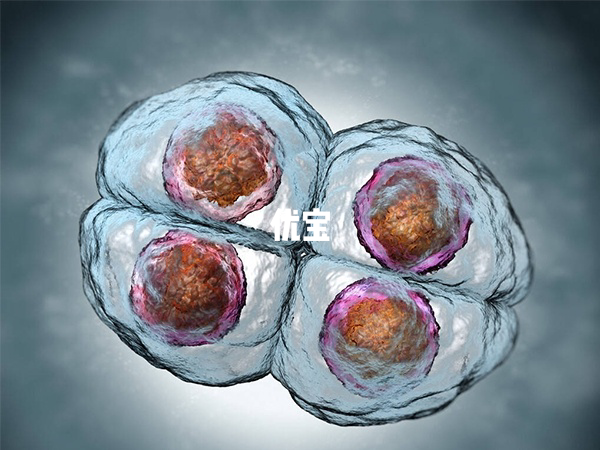 鲜胚单次移植不成功的原因揭晓