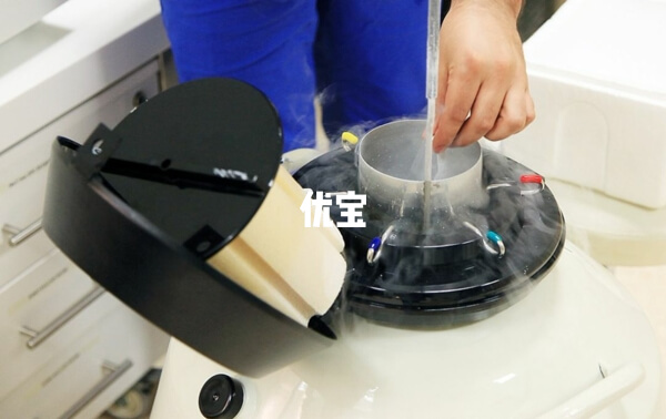 28歲做試管移植成功率不低