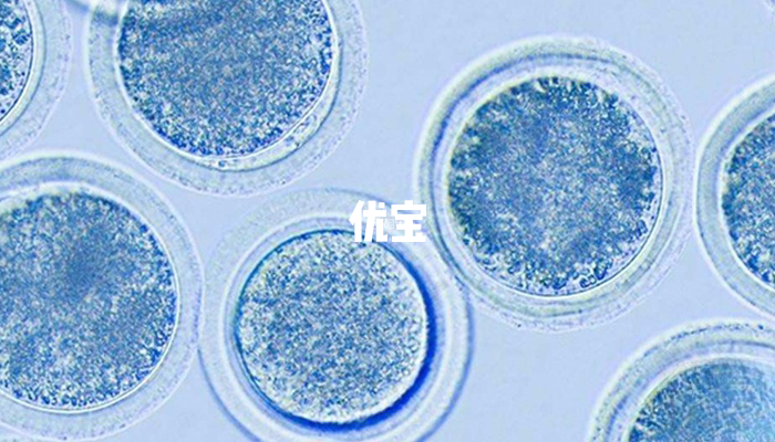 46歲有無必要做試管嬰兒需全面分析