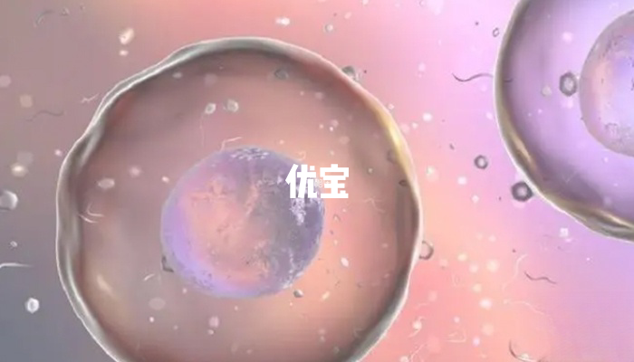 PPOS取到的卵相對較少