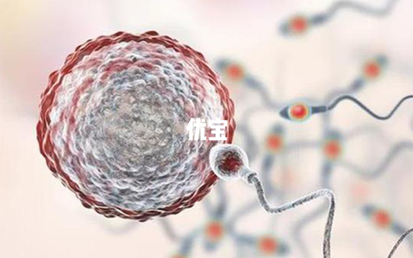 移植11天肚子隱隱作痛原因分析