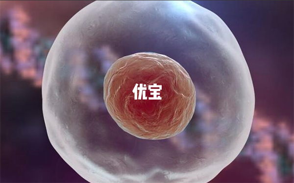 試管移植14天不能看到孕囊