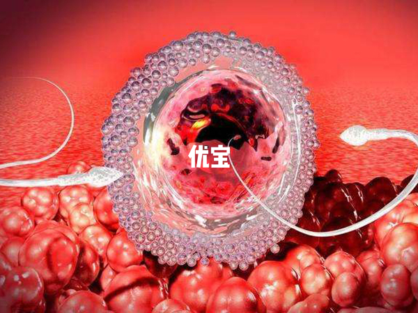 46歲試管成功率低於10%
