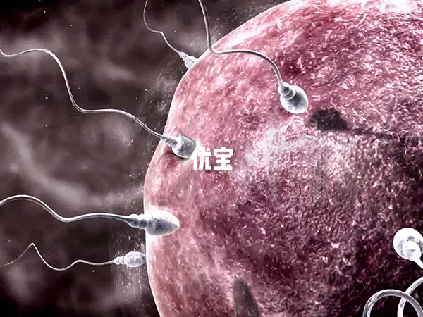 精子质量越高越生男孩是谣传