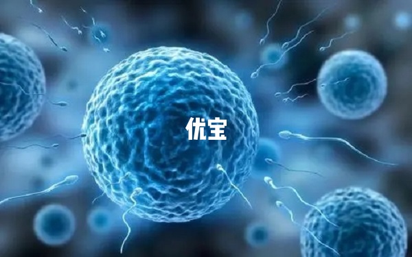 试管二步法移植的优缺点