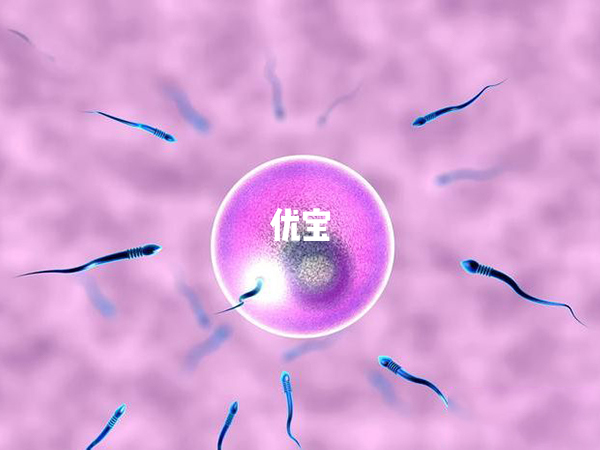 取卵第二天通知改二代可能是精卵不结合