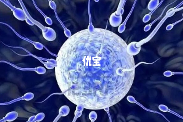 精子库申请精子流程图分享