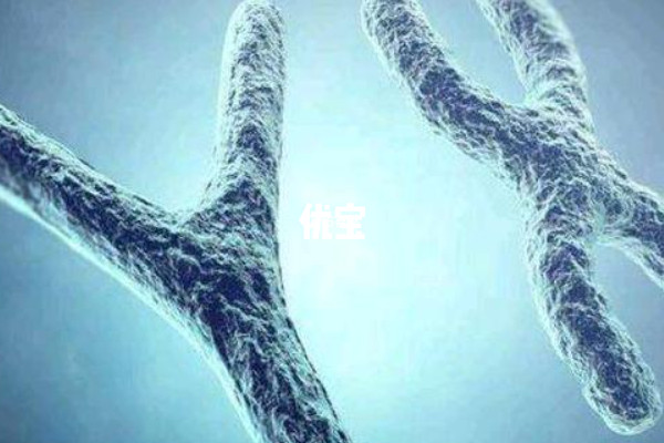 男性5號染色體臂間倒位比較嚴重
