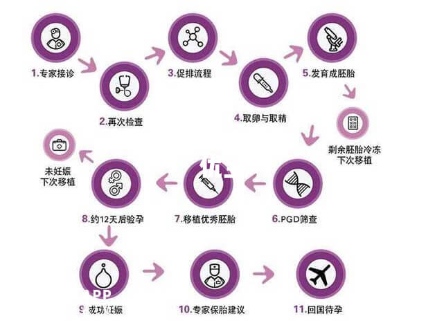 三代試管流程圖分享