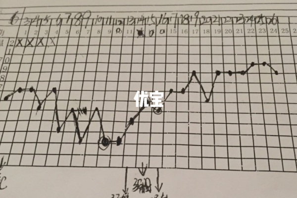 排卵后技术体温会升高